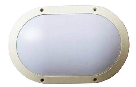 China SMD Epistar Ceiling Mount Outdoor LED Wall Light White IK10 IP65 10W 20W 30W supplier